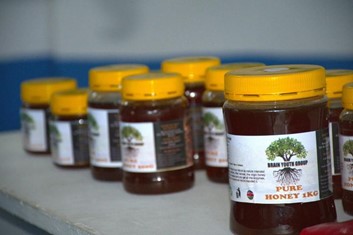 Honey harvested from beehives in the mangrove ecosystem in Junda, Mshomoroni.jpg